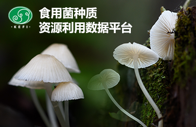 食用菌種質(zhì)資源利用數(shù)據(jù)平臺(tái)